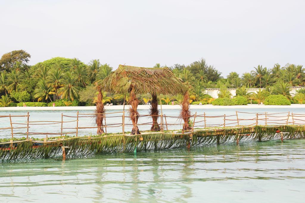 Kaafu Inn Guraidhoo Гурайдо Экстерьер фото