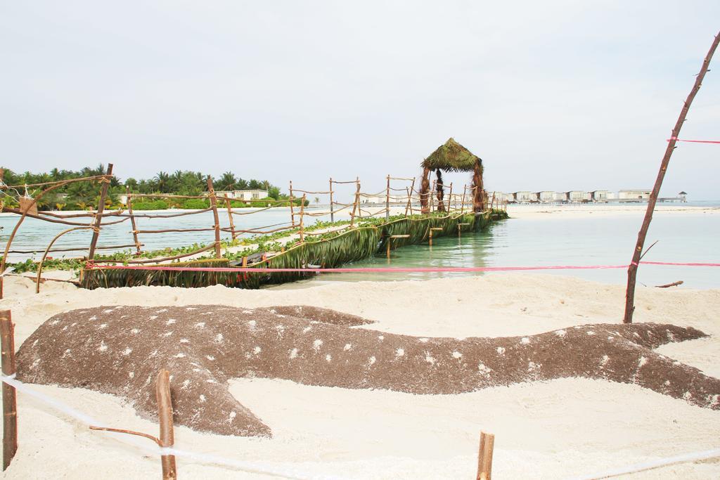 Kaafu Inn Guraidhoo Гурайдо Экстерьер фото