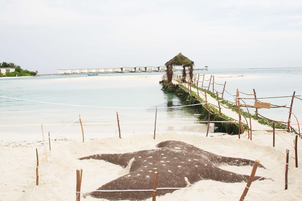 Kaafu Inn Guraidhoo Гурайдо Экстерьер фото