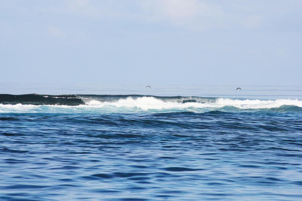 Kaafu Inn Guraidhoo Гурайдо Экстерьер фото