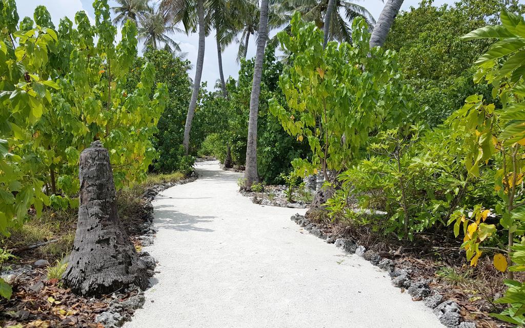 Kaafu Inn Guraidhoo Гурайдо Экстерьер фото